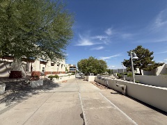 Concrete walkway lined with trees and modern buildings under a clear blue sky