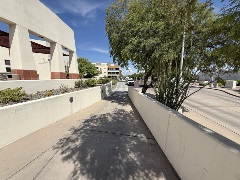 Narrow sidewalk beside a modern building with tall columns, bordered by low landscaped walls and desert plants under a clear blue sky