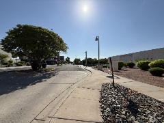 Sunlit street with a curved sidewalk, trimmed shrubs, a large tree and modern buildings in the background