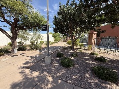 Tree‑lined walkway beside landscaped desert plants and a tall fence, stretching toward a distant building under a bright sky