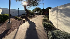 Curving sidewalk bordered by desert plants and trees, with long shadows cast across the path in late-day sunlight.