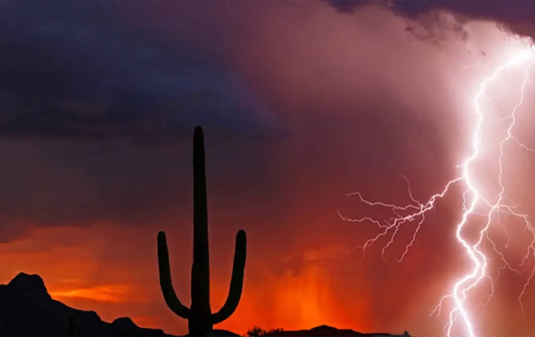 Lightning strikes over a desert landscape at sunset with a saguaro cactus silhouette.