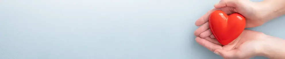 Two hands holding a heart shaped decoration.