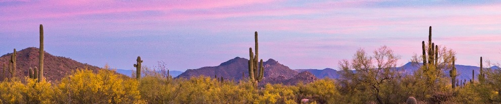 Panoramic desert landscape with saguaro cacti, shrubs, and mountains under a pink sunset sky.