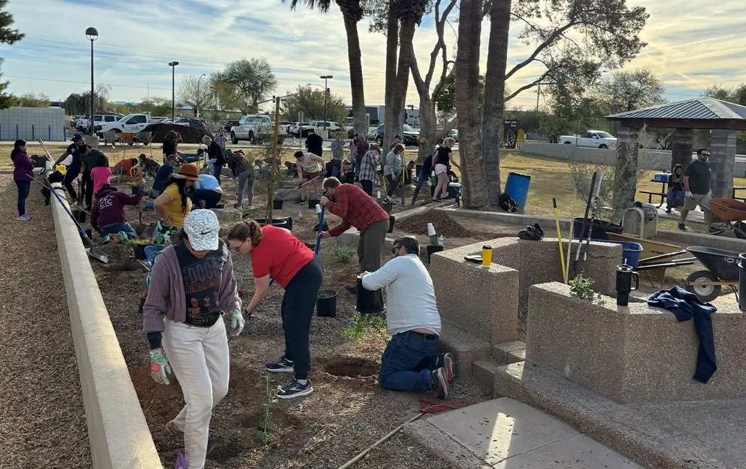 Volunteers planting trees and landscaping in a community park during a large outdoor service event.
