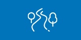 White line-art icons of two trees and a winding path on a solid blue background.