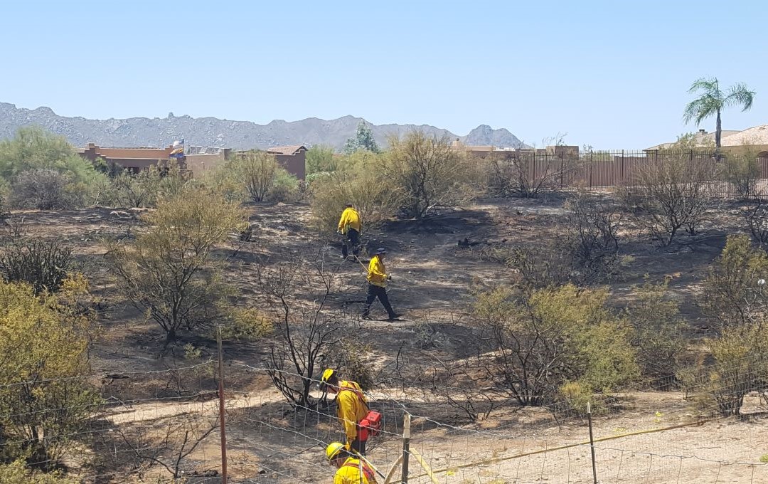 Firefighters in yellow gear inspect a charred desert landscape after a brush fire.