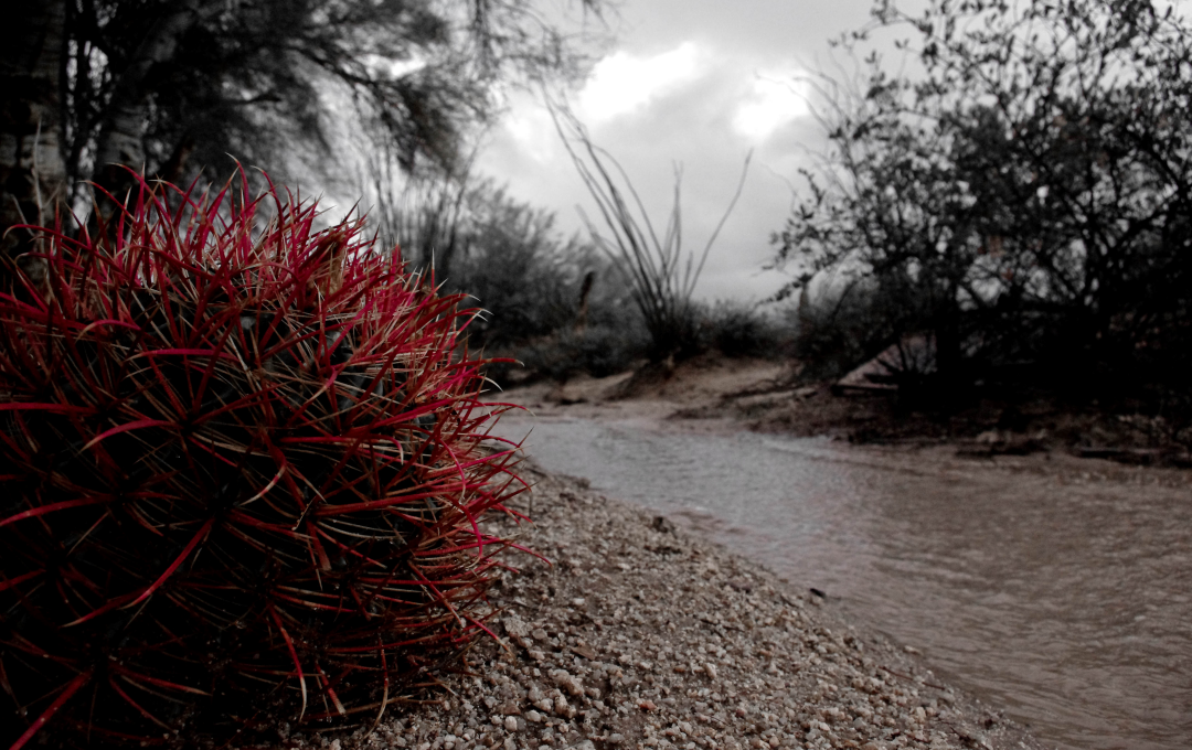 More rain on the way for Scottsdale image
