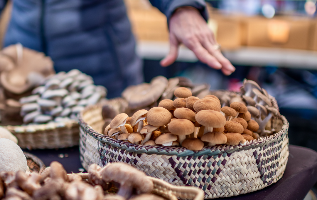 Scottsdale Farmers Market finds new home at City Hall image
