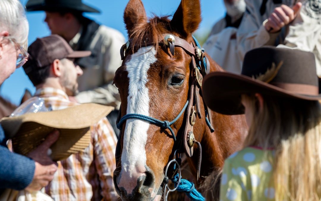 Western Week returns to Old Town Scottsdale in January image