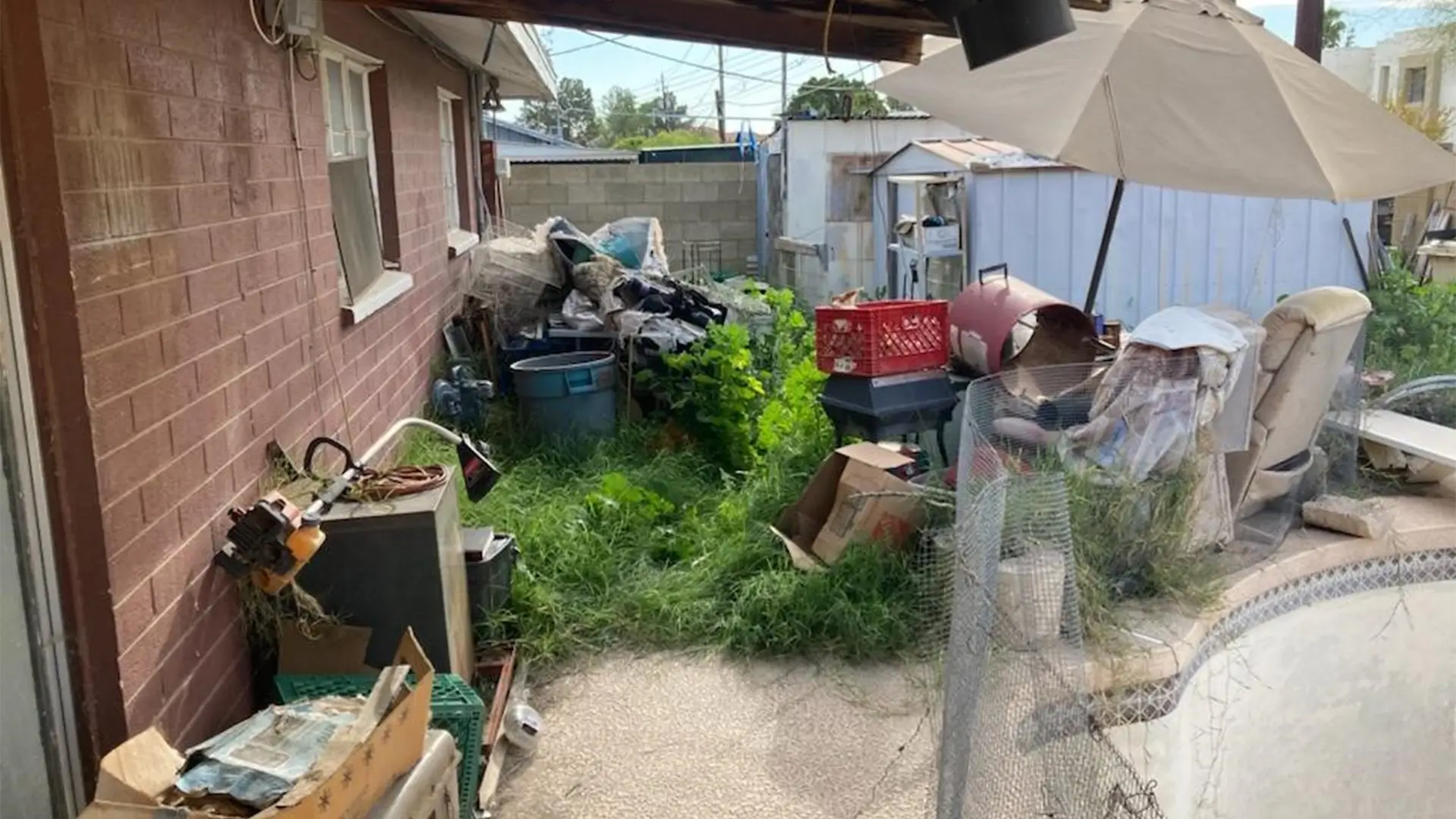 backyard full of debris