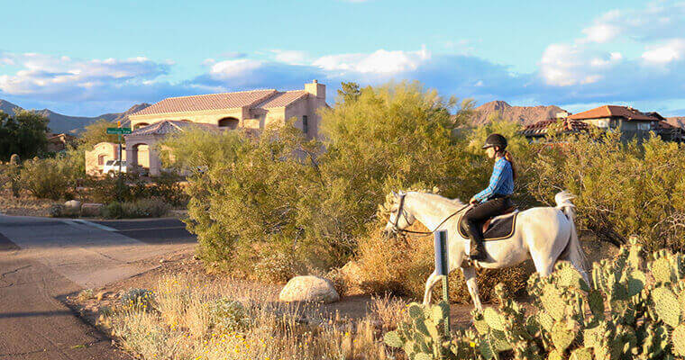 rider on a horse walking on a multi-use path