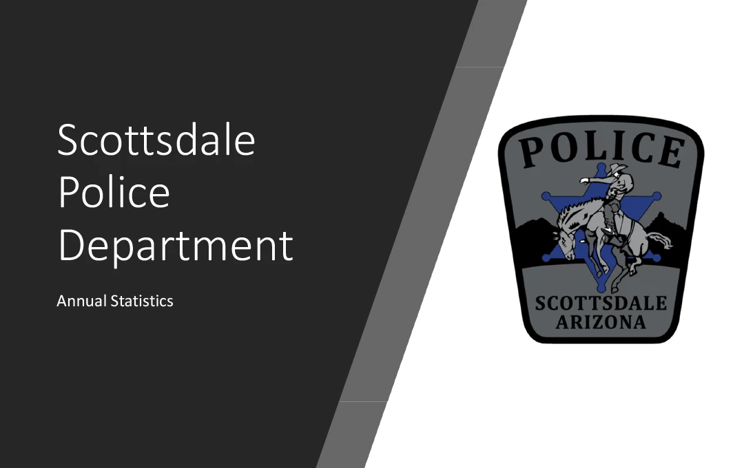 Police Annual Statistics Report