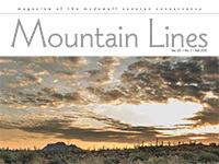 Magazine cover titled “Mountain Lines” featuring a dramatic sky with clouds over a desert landscape and silhouetted mountains.