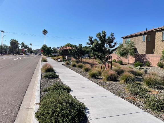 Sidewalk along a residential street with desert landscaping, trees, and a covered bus stop under a clear blue sky.