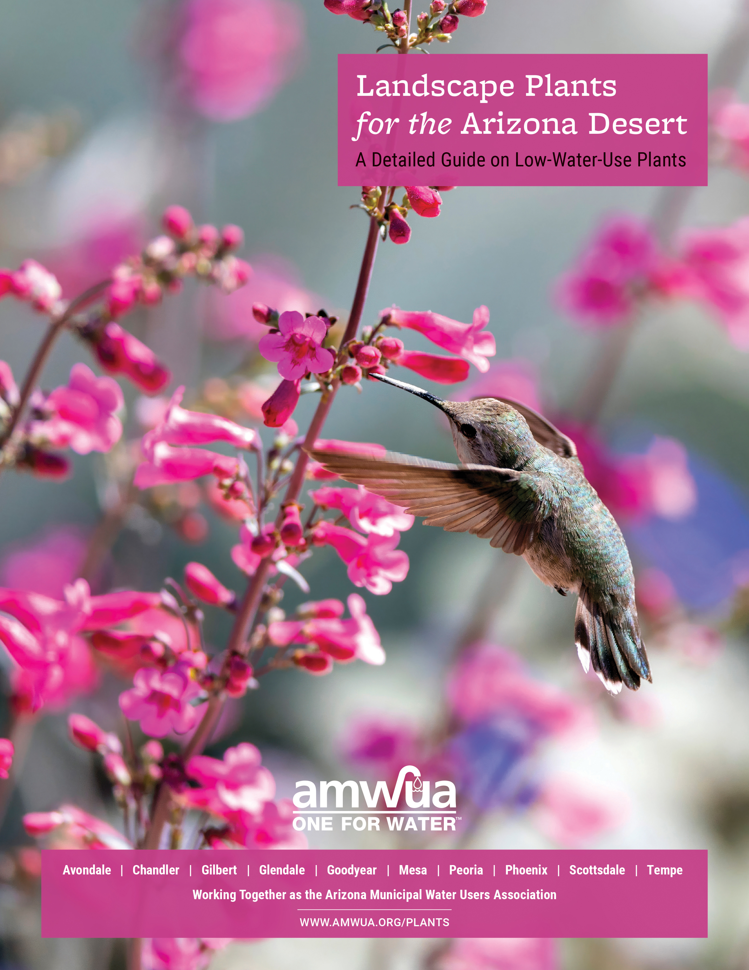 Image of Landscape Plants for the Arizona Desert