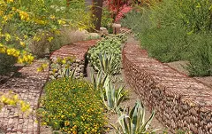 Curved gabion stone walls winding through a desert garden with agave, flowering groundcover, and other drought-tolerant plants.